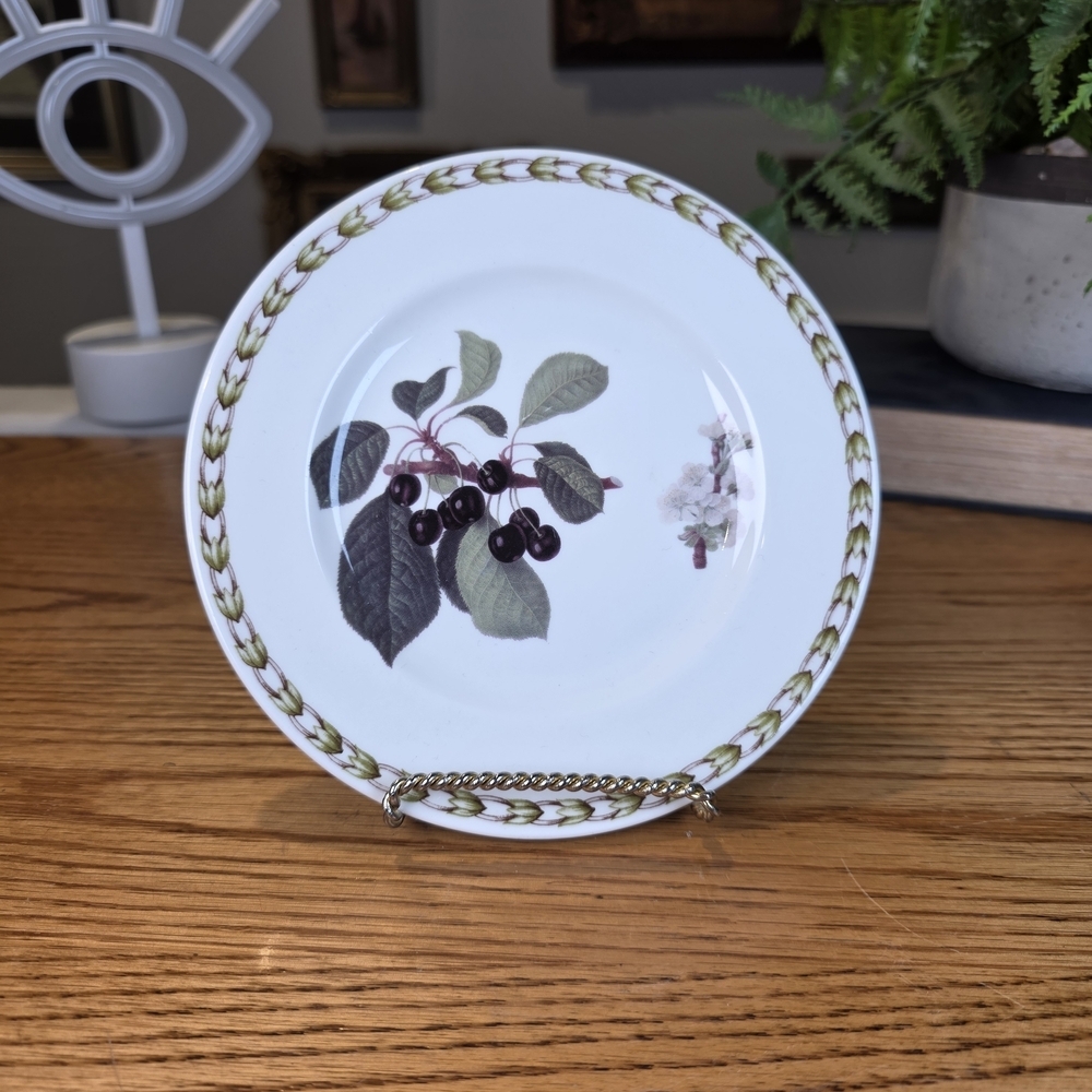 Vintage Queen's Hooker's Fruit Black Cherries 6.5" Fine Bone China Side Plate